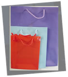 bolsa de regalo